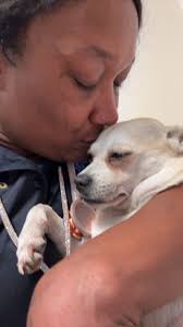 If the lady that my partner flagged down at forest vets for the use of her  phone for my cat, is