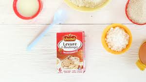 Levure Chimique Levure De Boulangerie Levure Bio Vahine