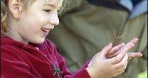 From 'gross' to 'cool'