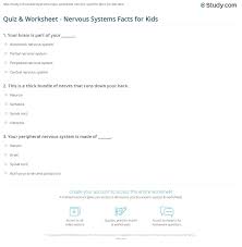 Our nervous systems allow our body to respond to stimuli and coordinate important bodil. Quiz Worksheet Nervous Systems Facts For Kids Study Com