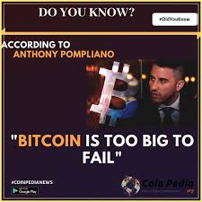 Why did bitcoin crash & why bitcoin will drop again why is bitcoin valuable? Did You Know According To Anthony Pomoliano Bitcoin Is Too Big To Fail Pompglobal Bitcoin Bitcoin2020 Did You Know Bitcoin Price Blockchain