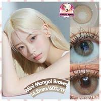 Jual KEZIA GRAY SOFTLENS