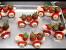 Apple Garnish