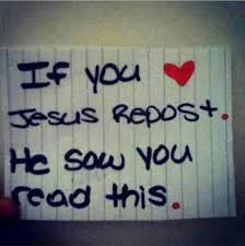 Ansley McGraw (vwchich2004)