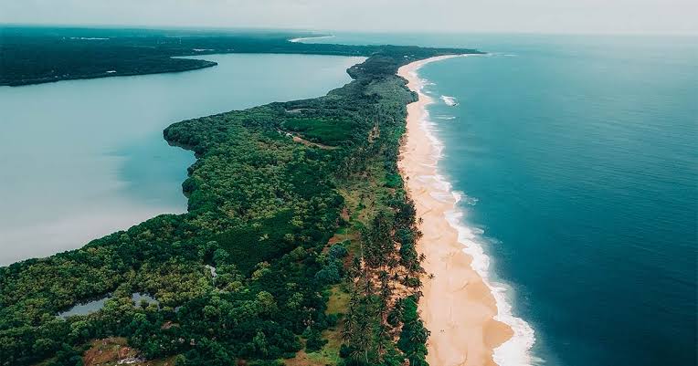 Rekawa sea turtle nesting beach conservation night watch Sri Lanka