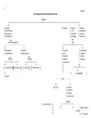 gram positive bacteria dichotomous flow chart docx 1