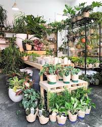 Pin On Garden Outdoor