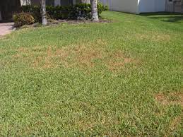 In part 8 of our drought solutions video series, you'll discover why you shouldn't completely trust the manufacturer's specifications and learn a few approaches that can help you. Dry Spots Aaction Sprinkler Repair In The Orlando Area