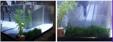 Maybe you would like to learn more about one of these? Aquascape Hobi Baru Yang Meracuni Cuman Goresan Kecil