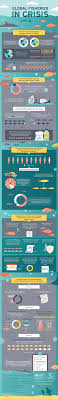 Why Global Fisheries Are In A Crisis Infographic Infographic Infographic Inspiration Aquaponics