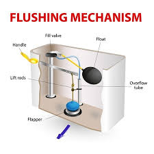 Check spelling or type a new query. Why Do I Always Need To Flush My Toilet Twice