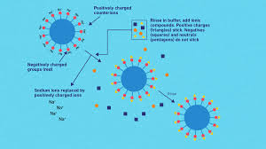 How To Use Analytical Columns | Technical Information | Gl Sciences