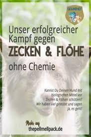 Naturliche Mittel Gegen Zecken Und Flohe The Pell Mell Pack Zecken Gesunde Hunde Flohe Hund