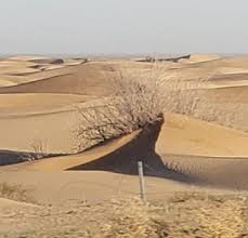 Image result for Sahara Sand 1961 Imperial