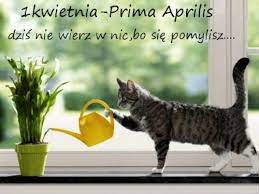 Watch, follow, and discover the latest content from live 1 kwietnia (@jula1234530). Kartka 1 Kwietnia Prima Aprilis E Kartki Net Pl