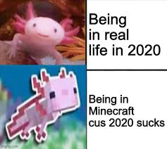 This is an accurate skin using the perfect hex code for the new 1.17 axolotl, enjoy. Reject 2020 Go To Minecraft Imgflip