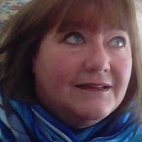 Nina Todd Has Gone by Lesley Glaister