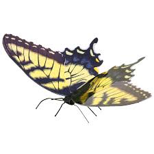 Until you're lucky enough to take that trip, color yourself a page and dream. Metal Earth Butterflies Tiger Swallowtail 3d Metal Model Kits