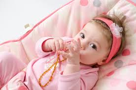 423 Baby Amber Stock Photos