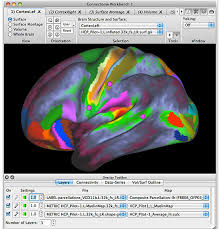 Setting the command line environment interactive viewing of functional connectivity improved user interface for selecting data layers and maps viewing fmri time courses and other data series. Https Cfmriweb Ucsd Edu Ttliu Be280a 12 Be280a12 Mri7 Pdf