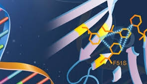 Journal Cover Image Design Services for Scientific ...