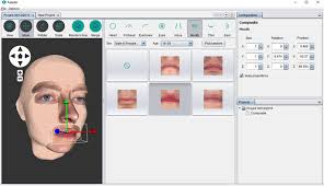 Composite module of the FIDENTIS Analyst software that enables manual...