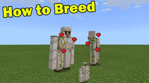 Iron golems are created by placing four iron blocks in a t shape (as shown in the image), and then placing a carved pumpkin, jack o'lantern or pumpkin ‌  be only on top of the center upper block. How To Breed Iron Golems In Minecraft Pe Small Golem Addon Youtube