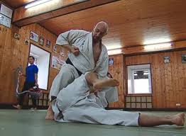 Традиционное окинавское карате. Интервью с Николаем Коровиным — Боевой  спорт - боевые искусства, КроссФит, ЗОЖ