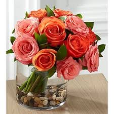 Same day flower delivery phoenix is proud to offer you a wide selection of floral gifts, roses and gift baskets. Interflora And Ftd Flowers Dominican Republic