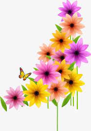 Wedding Color Flowers Beautiful Flowers Flowers Wedding Colors