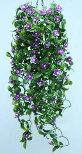 Climbing plants can be one of the most impressive plants in the garden. Climbing Plants Direct