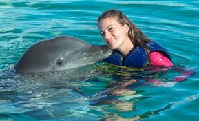 Meeting The Dolphins At Atlantis Dolphin Cay - Powered By Mom
