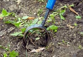 How To Choose The Right Garden Hoe Garden Gate