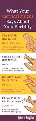 Pin On Pregnancy