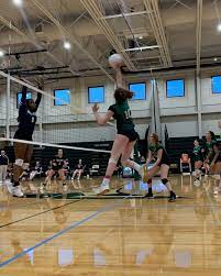 Academic Magnet volleyball team aims for playoff spot