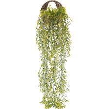 Check spelling or type a new query. Mihounion Piante Finte Da Esterno Piante Rampicanti Pendenti Finte Pianta Artificiale Cadente Edera Artificiale Fiori Di Plastica Per Balcone Interno Esterno Decorazione 120 Cm Fiori Artificiali Piante E Fiori Artificiali Teacuppublishing Com