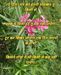 Hindi Shayari Good Afternoon Facebook Good afternoon video whatsapp beautiful status with heart. hindi shayari good afternoon facebook