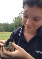 Glasshouse Country Christian College