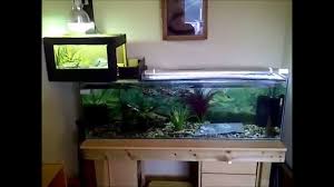 4 Foot Turtle Tank Home Made Above Tank Basking Area Turtle Tank Aquarium Turtle Aquarium