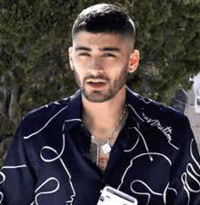 Zayn Leeyum GIFs