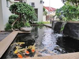 Atau ingin tahu cara mewarnai gambar ikan yang bagus? Gambar Kolam Ikan Air Terjun Minimalis Yang Cantik Kolam Ikan Kolam Ikan Koi Taman Air