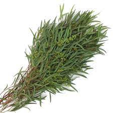 Willow Seeded Eucalyptus Greenery Fiftyflowers Com Seeded Eucalyptus Simple Wedding Flowers Flower Centerpieces Wedding