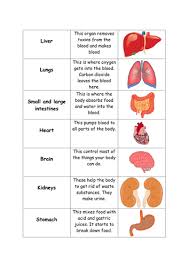 The heart pumps blood around the body. Human Body Organs Card Sort Teaching Resources