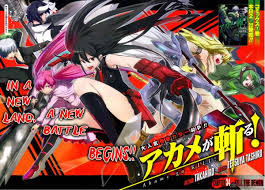 And the manga version ended. 10 Manga Like Akame Ga Kill Hobbylark