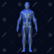 Raises eyebrows & wrinkles forehead as it draws scalp back. 3d Rendering Conceptual Human Organs And Muscle Blue Shade Stock Photo Picture And Royalty Free Image Image 120707500