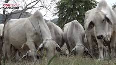 Resultado de imagen para "puede ser rentable una finca pequeña"