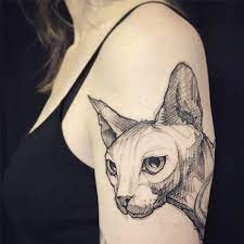 tatu koshka znachenie kotoroe nam udalos uznat 65 foto i eskizov sphynx cat tattoo sketchy tattoo cat tattoo