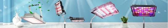 Check spelling or type a new query. Acke Led Grow Light Linkedin