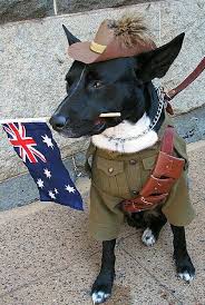 Anzac Day Dog Anzac Day Anzac Pet Sitting Services