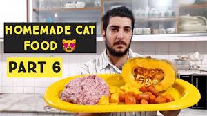 Homemade Cat Food Persian Cat Food Recipe For Summer How To Make Cheap Homemade Cat Food At Home Youtube